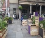 Chelsea Flower Show